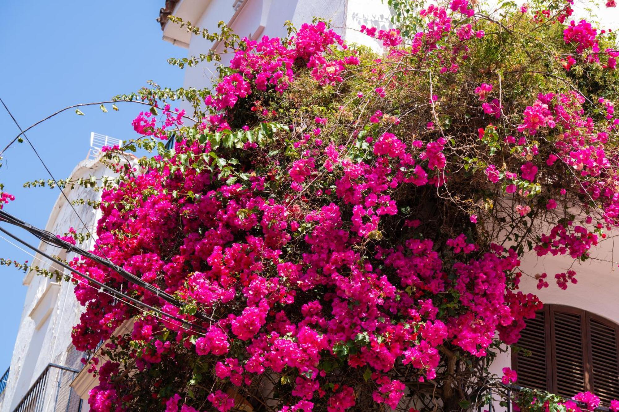 Marbella Luxury Duplex 106 Close To The Beach Kültér fotó