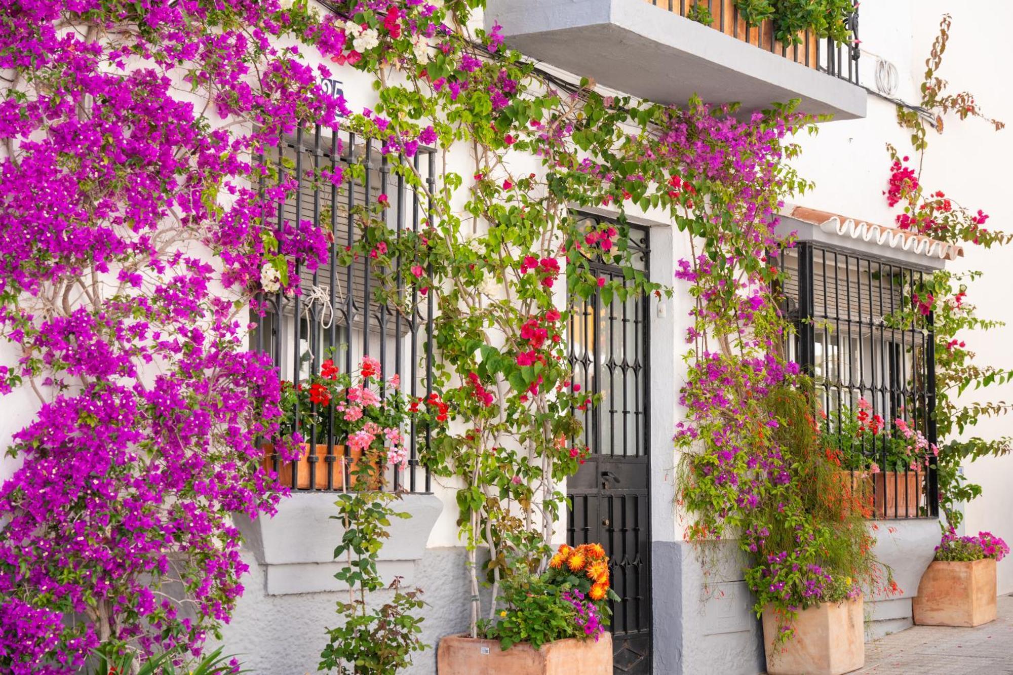 Marbella Luxury Duplex 106 Close To The Beach Kültér fotó
